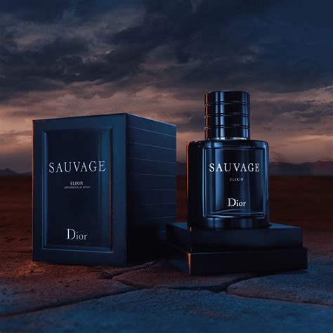 sauvage dior fragranza|dior sauvage fragrance description.